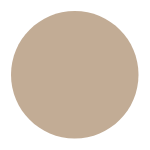 New Project (1) A circle with the top half of it in beige.