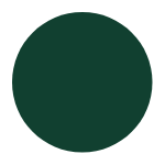c2 A green circle is shown on the black background.